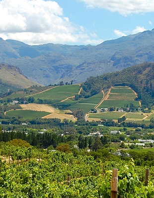 Outeniqua Mountains in South Africa