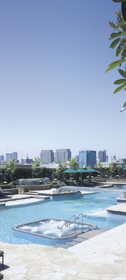 the rooftop garden pool at the Hotel East 21 Tokyo