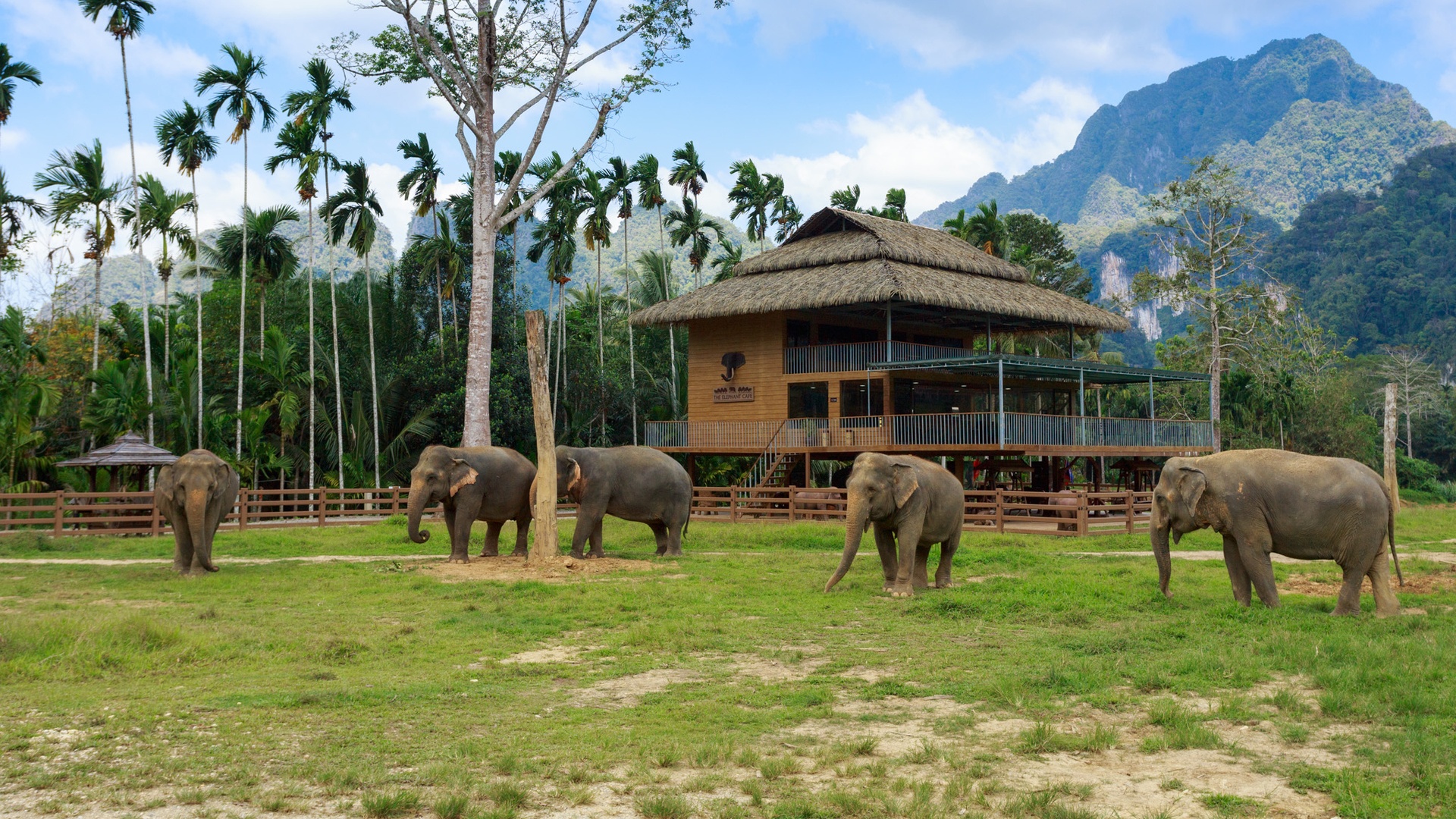 Elephant Hills, Thailand
