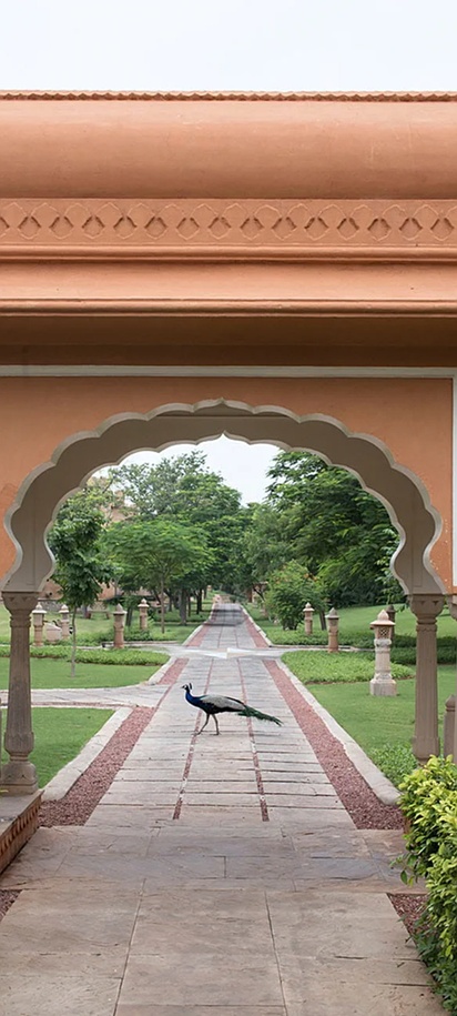 manicured grounds of The Oberoi Rajvilas