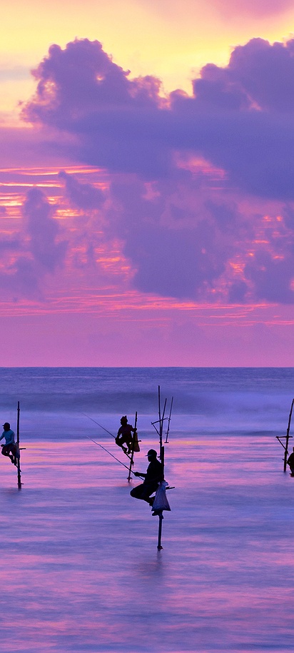 Stilt fishing during purple Sri Lankan sunrise