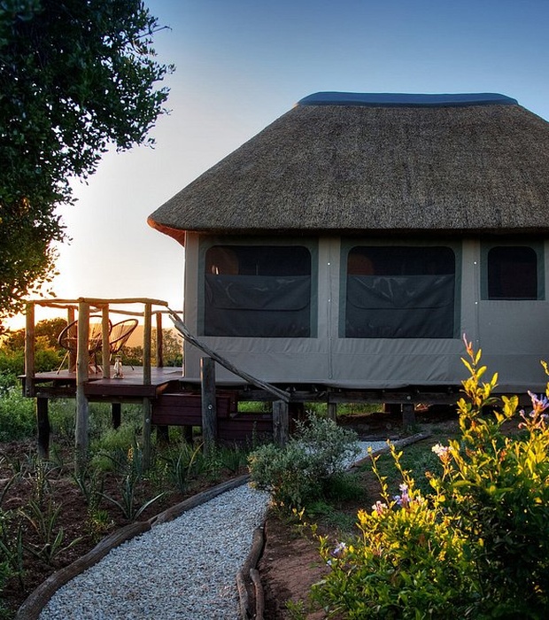 Elephants Lodge Bellevue Forest Reserve