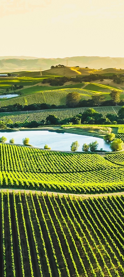 Gallo Family Vineyards