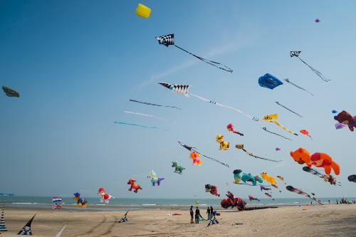Kite Surfing & Wakeboarding