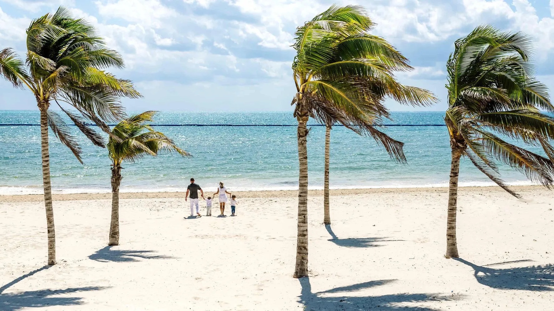 Crandon Park Beach in Key Biscayne, Florida