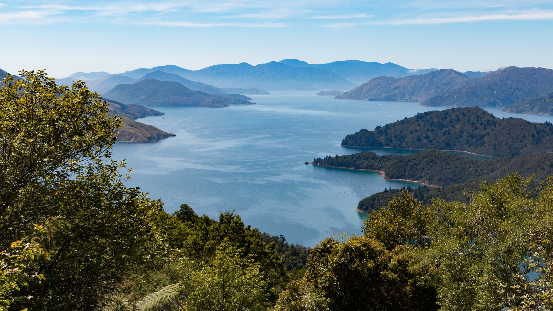 Marlborough Sounds in New Zealand