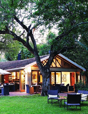 Johannesburg and Pretoria purple in South Africa