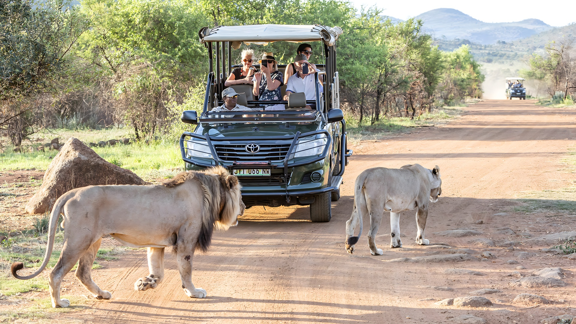 Pilanesberg safari view