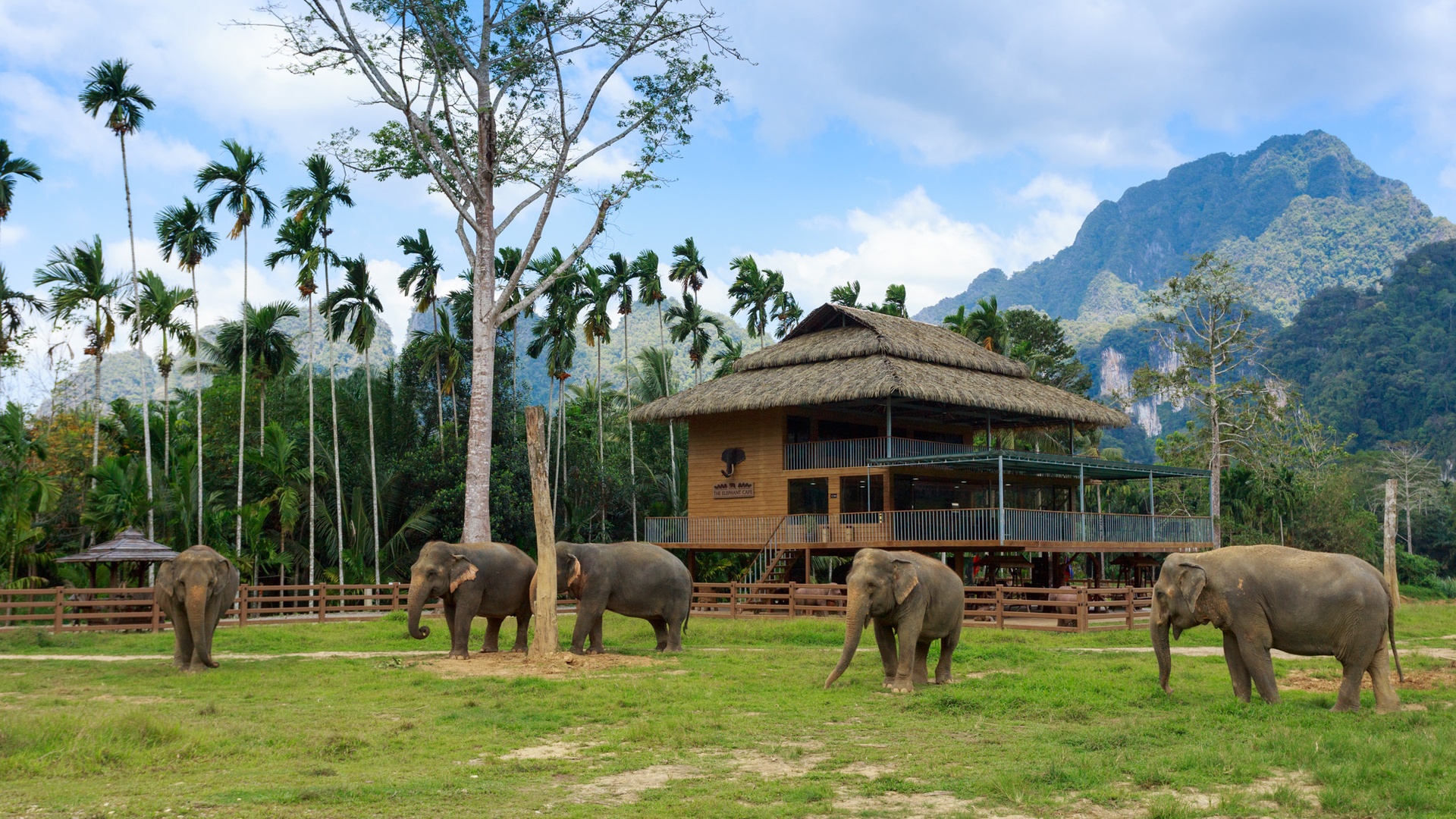Elephant Hill in Khao Sok National Park, Thailand
