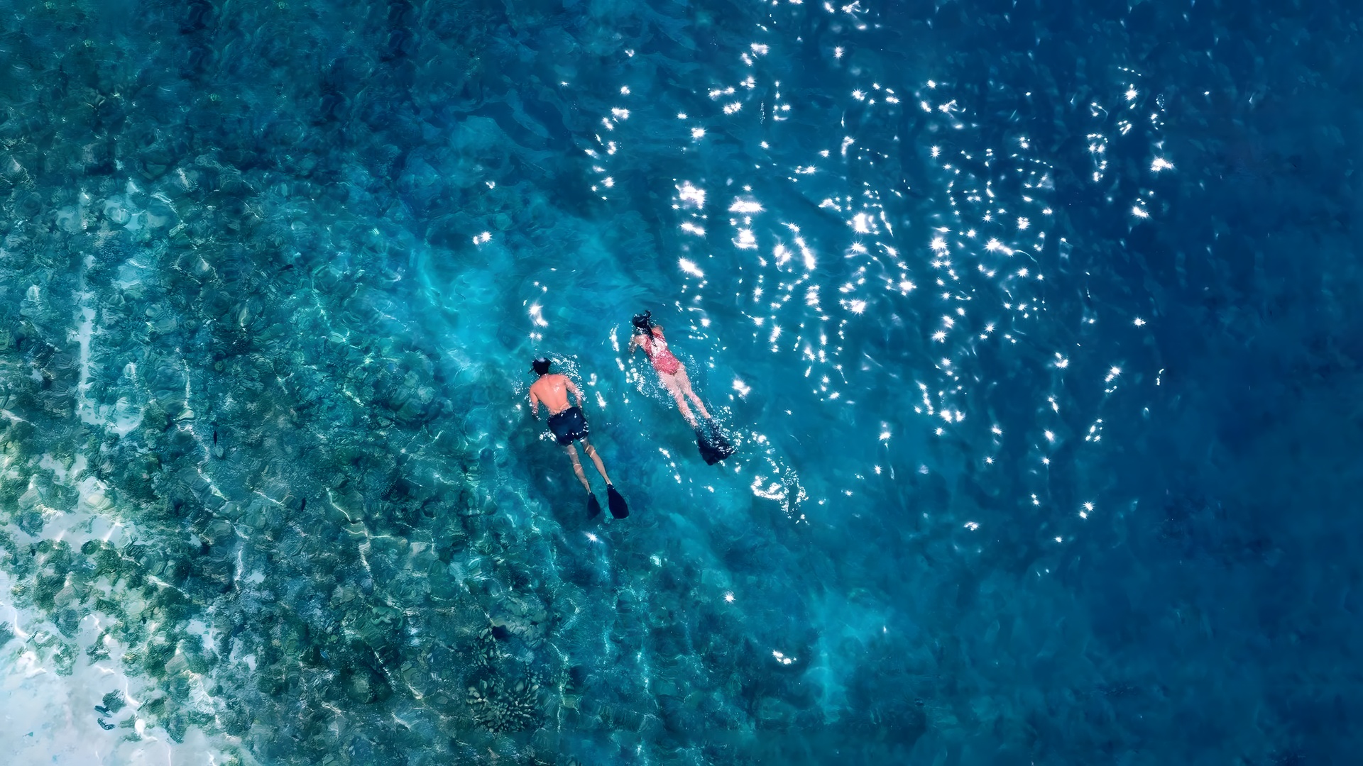 underwater at Hideaway Beach Resort 