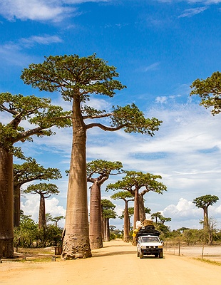 the Rova of Antananarivo