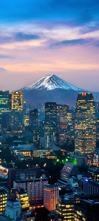 a scenic view of the Tokyo cityscape featuring Tokyo Tower with Mount Fuji