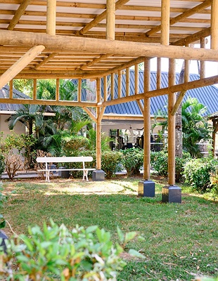 tranquil scene at The Ravenala Attitude hotel, a resort located in Turtle Bay