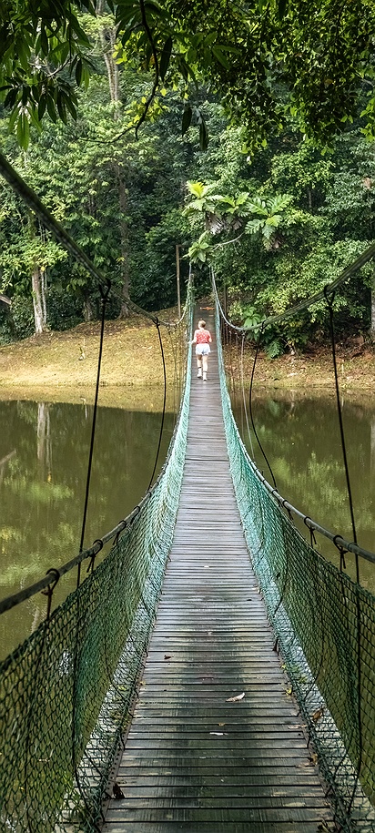 Rainforest discovery centre in Malaysia