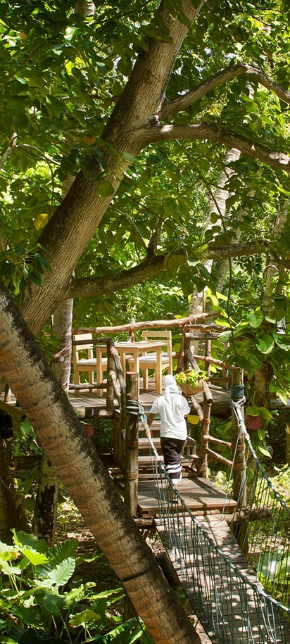 Escape to Paradise: Sri Lanka with Maldives image 10