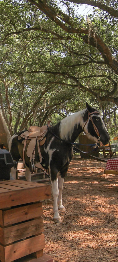 Luxe Teepee accommodation option available at the Westgate River Ranch Resort & Rodeo