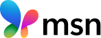 MSN logo